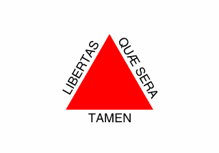 Bandeira MG